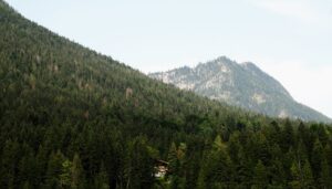 The Alpine Charm of Olympic Valley: Exploring Palisades Tahoe’s Heart